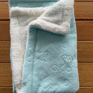 Cobertor Microfibra Apeluciado Urso Verde Bebê